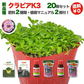 楽天市場 花の苗物 人気ランキング1位 売れ筋商品 楽天市場 花の苗物 人気ランキング1位 売れ筋商品